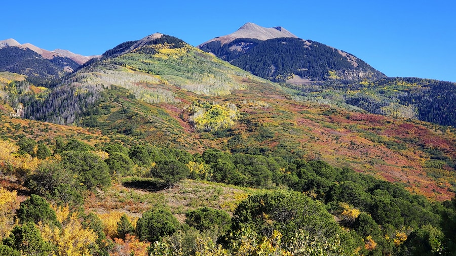 Today I had my annual reminder just how beautiful change can be ☀️❤ It's one of my favorite times of the year. It reminds me to lay down all those expectations I've been lugging around of what life is supposed to look like, and am shown how beautiful the journey is when I take a minute to look at the 360° view - not just the path that was man made by..well, me.
So often we select a destination that we are determined to get to, and by default, expectations of what that all will look like along the way. And when those pieces don't fall into place after our meticulously laid plans? We're disappointed. We don't want to sit in the ambiguity of it all. So we force answers for the sake of having answers. We become the thief of our own joy.
This week, look around. What beauty has been going unnoticed because it wasn't a part of your original map? Be without answers. Embrace all that is shifting. Let go of what was and accept what is. And know all seasons have their purpose and their beauty 🍁☀️ #hikingbootsandwholeness #creatadventure #explore #experience #change #grow #joy #aspens #gold