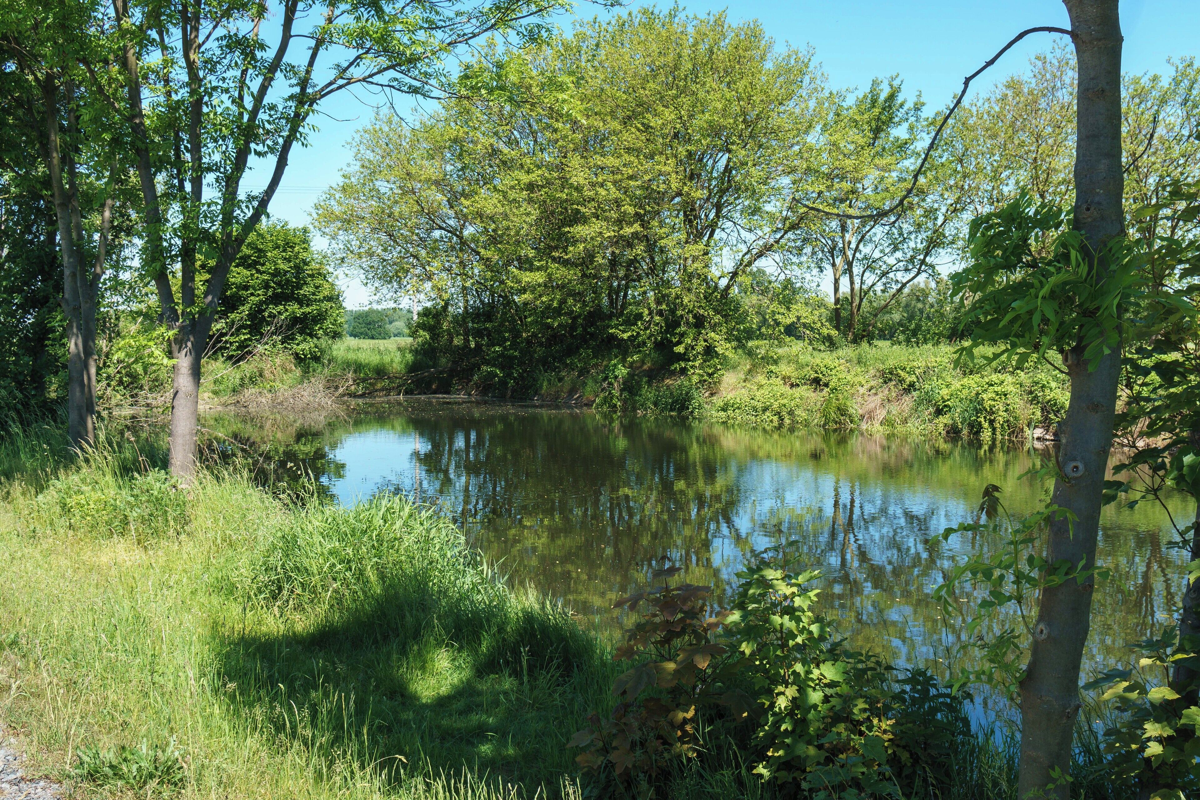 This media shows the protected monument of Saxony with the ID 09306006 KDSa/09306006(other).