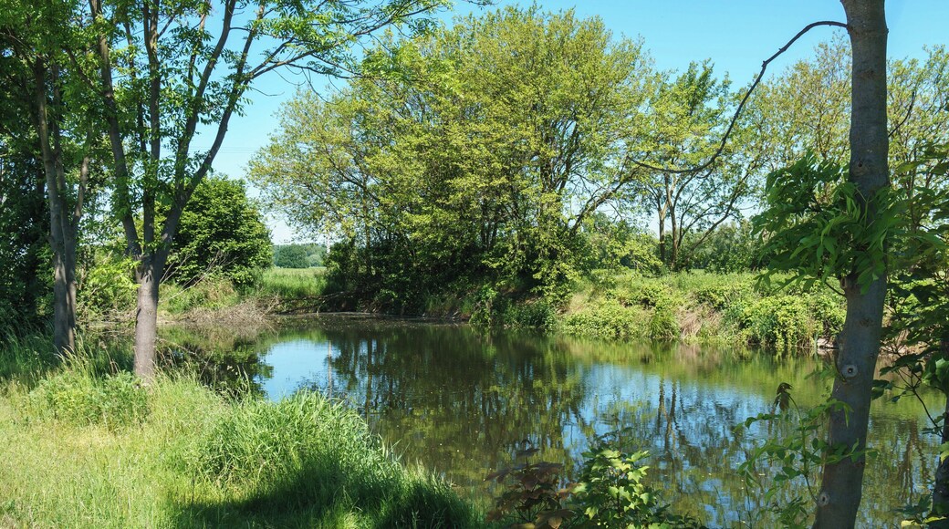 This media shows the protected monument of Saxony with the ID 09306006 KDSa/09306006(other).