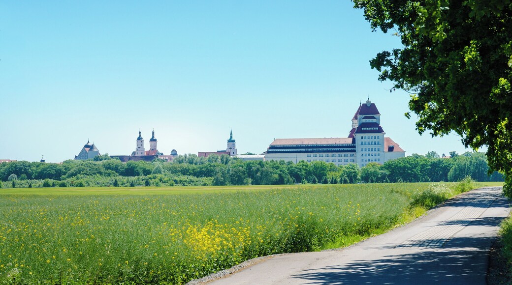 This media shows the protected monument of Saxony with the ID 09255723 KDSa/09255723(other).