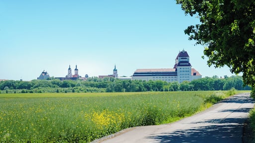 This media shows the protected monument of Saxony with the ID 09255723 KDSa/09255723(other).