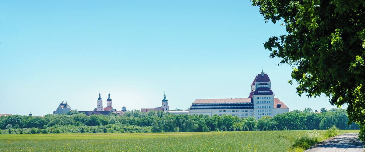 A rural landscape with a road, a field of yellow flowers, and a large building with multiple towers.