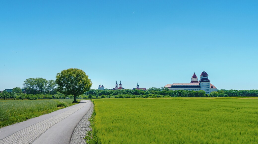 This media shows the protected monument of Saxony with the ID 09255723 KDSa/09255723(other).