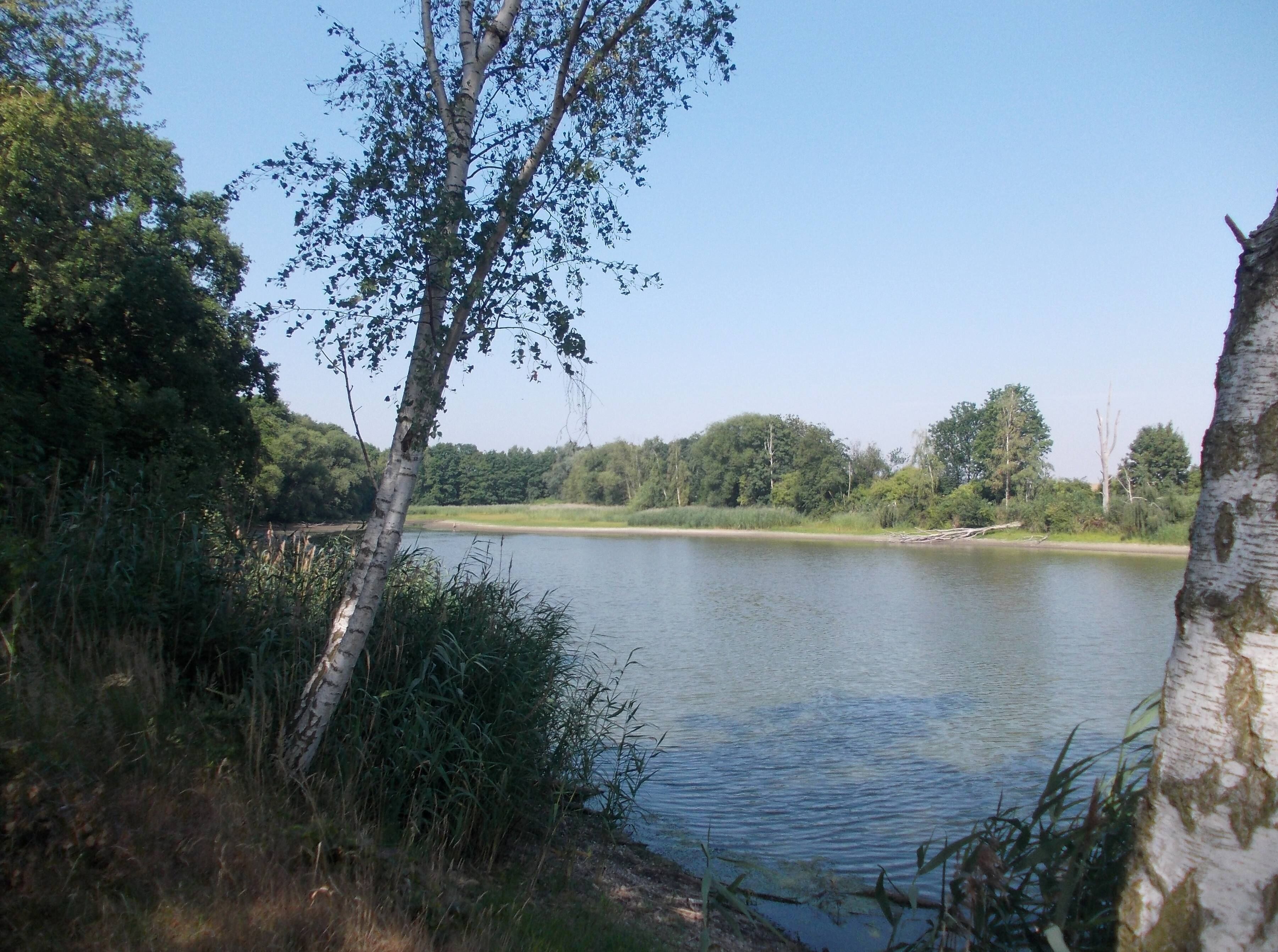 Quellenteich, one of the Lübschütz Ponds (Machern, Leipzig district, Saxony)