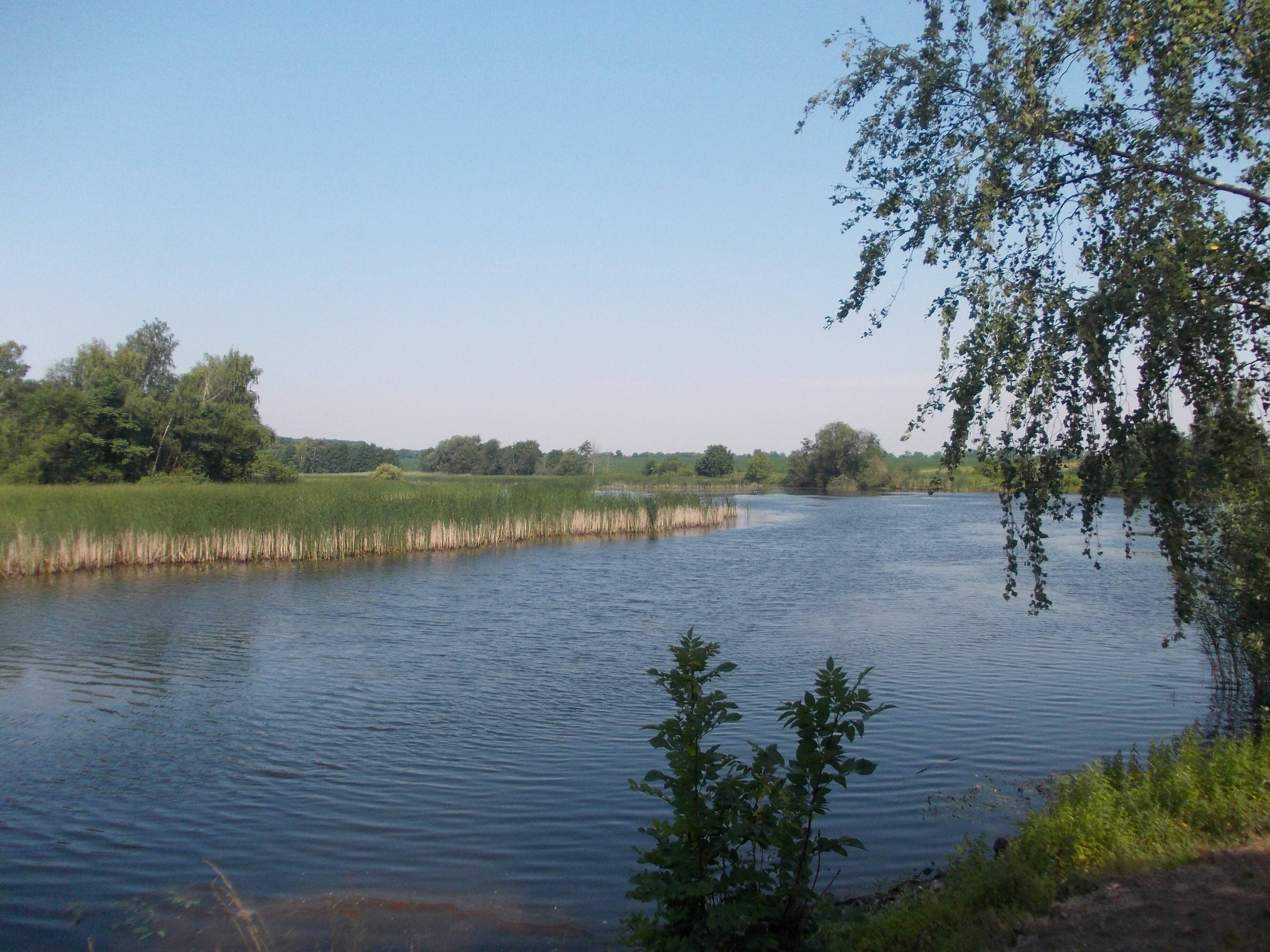 Iristeich, one of the Lübschütz Ponds (Machern, Leipzig district, Saxony)