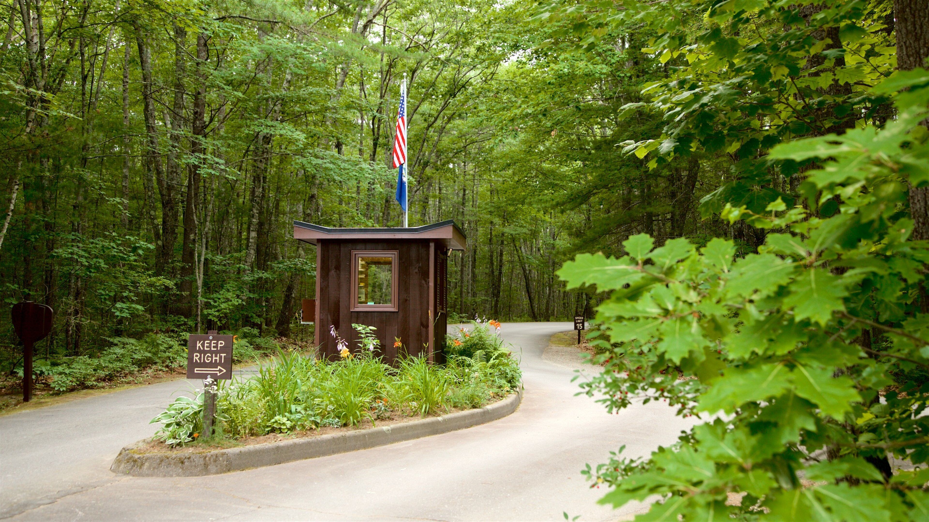 Parque estatal Ferry Beach mostrando un parque y bosques