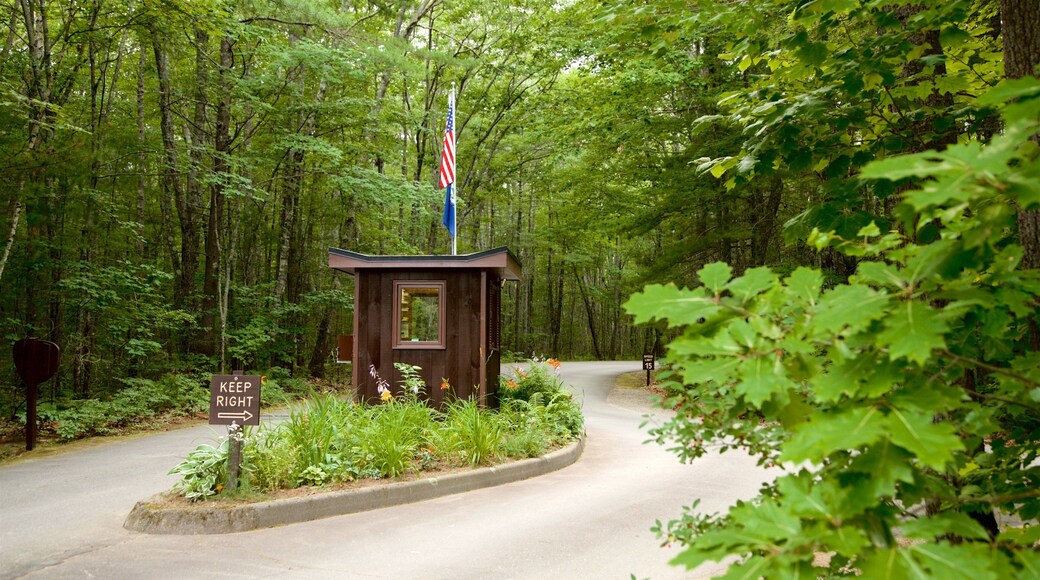 Parque estatal Ferry Beach mostrando un parque y bosques