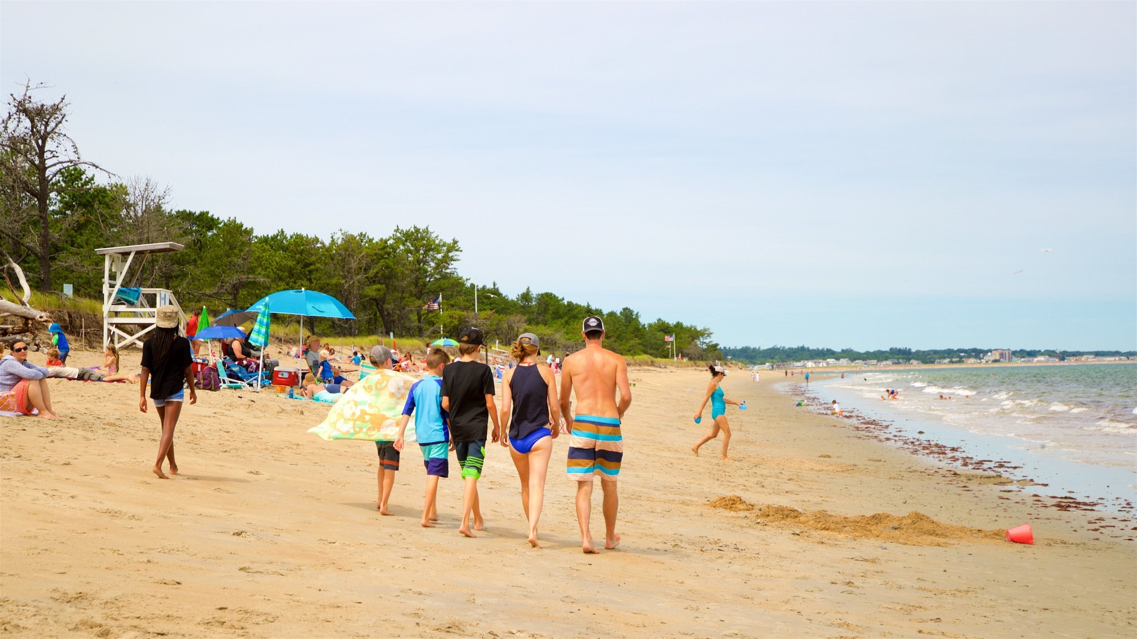 Ferry Beach State Park featuring ranta ja yleiset rantanäkymät sekä pieni ryhmä ihmisiä