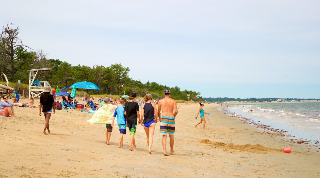 Ferry Beach State Park featuring ranta ja yleiset rantanÀkymÀt sekÀ pieni ryhmÀ ihmisiÀ