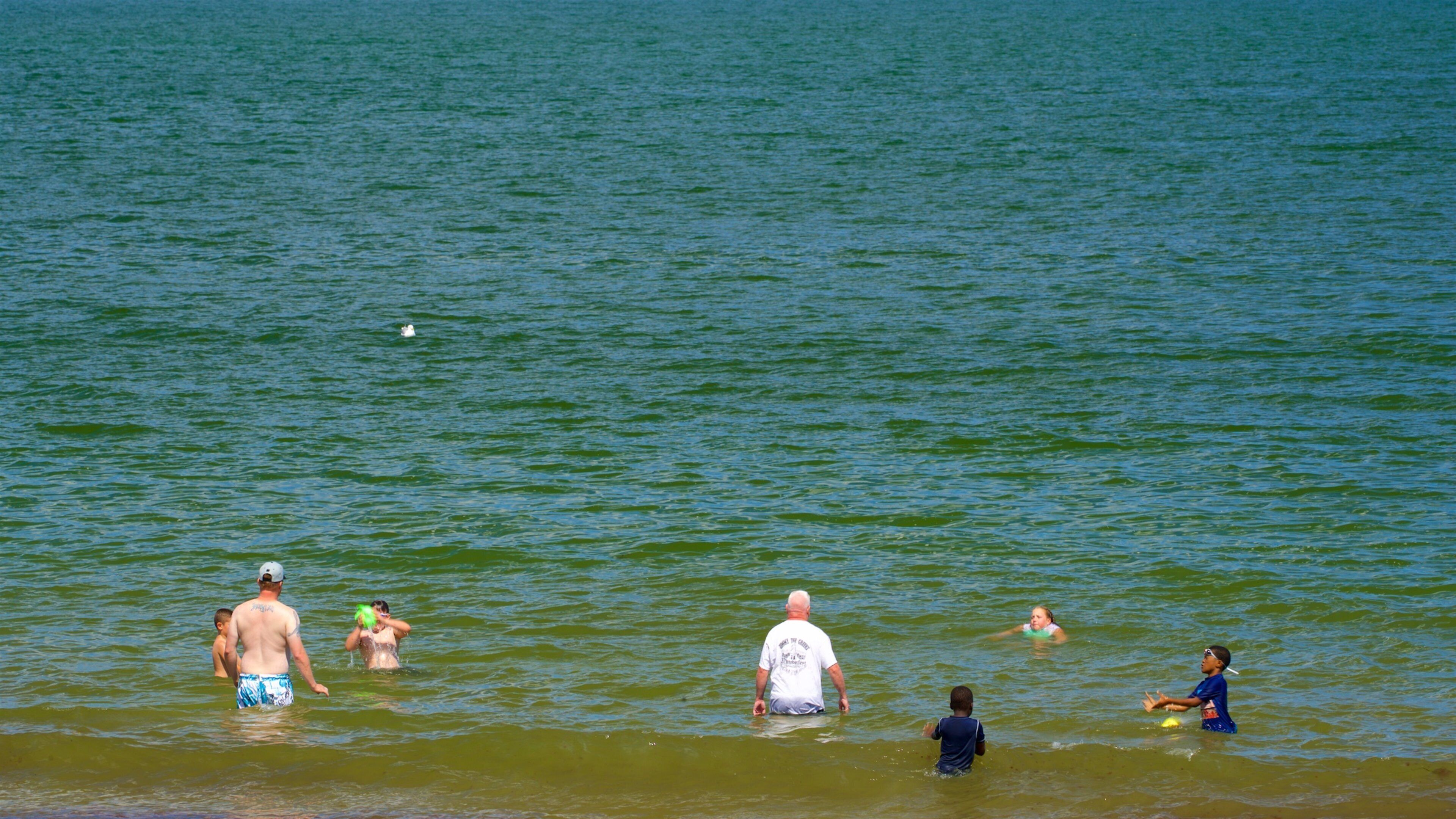 Ferry Beach State Park caracterizando paisagens litorâneas e natação assim como um pequeno grupo de pessoas