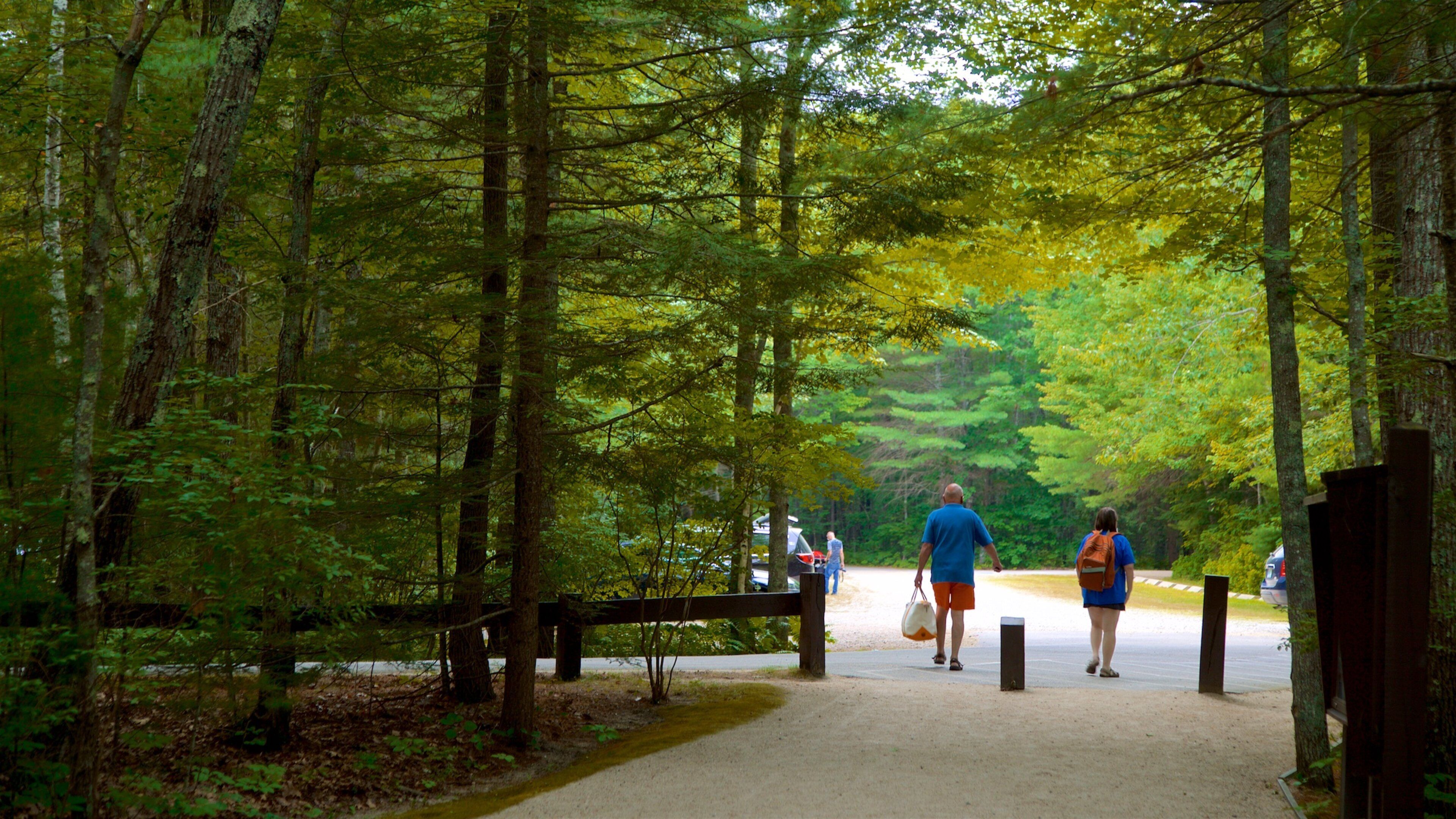 Ferry Beach State Park mit einem Wälder sowie Paar