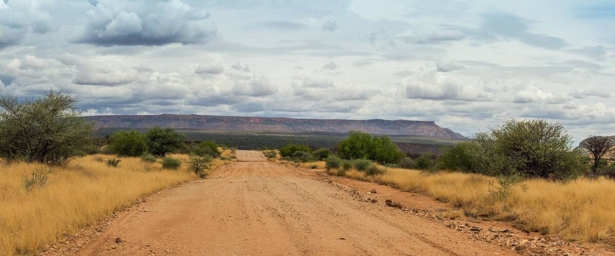 A dirt road leading through a dry grassland with sparse trees and distant mountains under a cloudy sky.