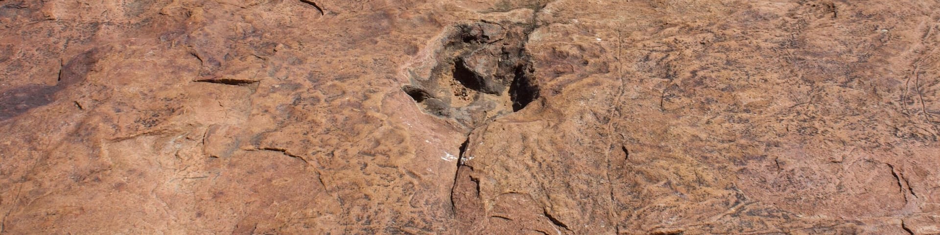A bit out of the way when traveling from Windhoek to Etosha National Park. The owner's half english half german introduction to the area is informative but his attitude leaves much to be desired. 250 million year old fossilized dinosaur tracks are worth it though. #History