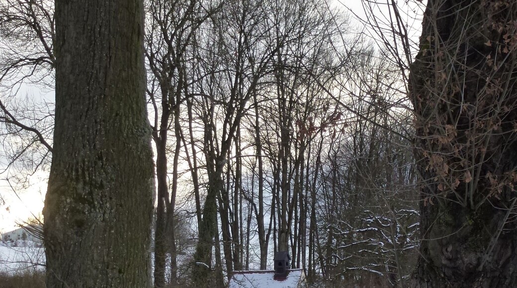 Bergkirchen -OT Kreuzholzhausen Grottenweg- moderne Marienkapelle mit kleiner Glocke und Grotte im Lourdes-Stil. Im Inneren ein gerahmtes Bild "Die Lourdesgrotte mit Josephshort und Marienheim in Kreuzholzhausen (bei Dachau)", signiert "Schemminger 1890", sowie zahlreiche Devotionalien. Ansicht aus NO