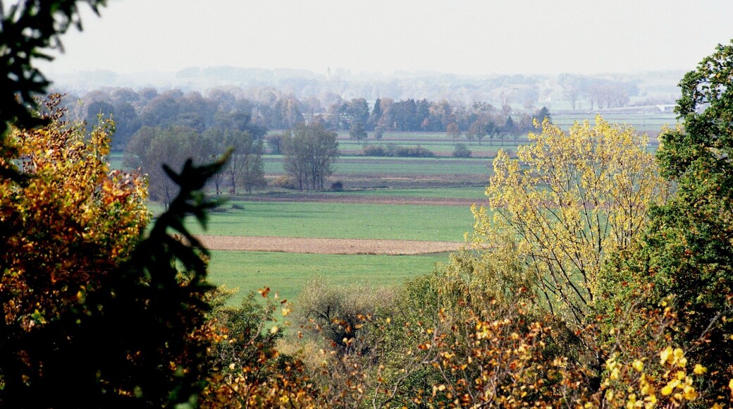 Bergkirchen, landscape