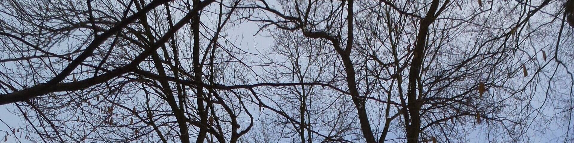 Bergkirchen -OT Kreuzholzhausen Grottenweg- Marienkapelle. Ansicht aus WNW