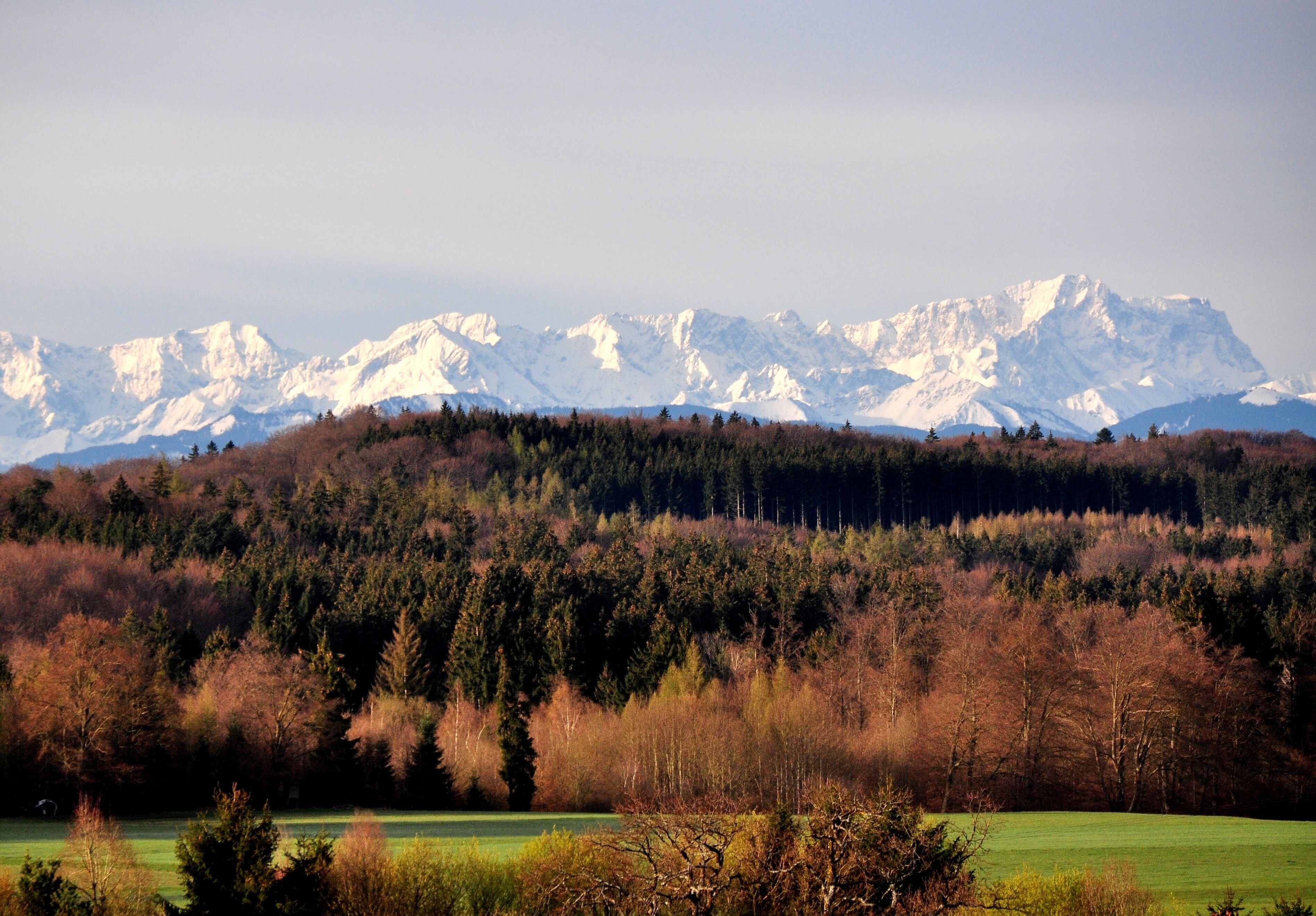 A mountainous landscape with snow-capped peaks, a forested hill, and a green field in the foreground.