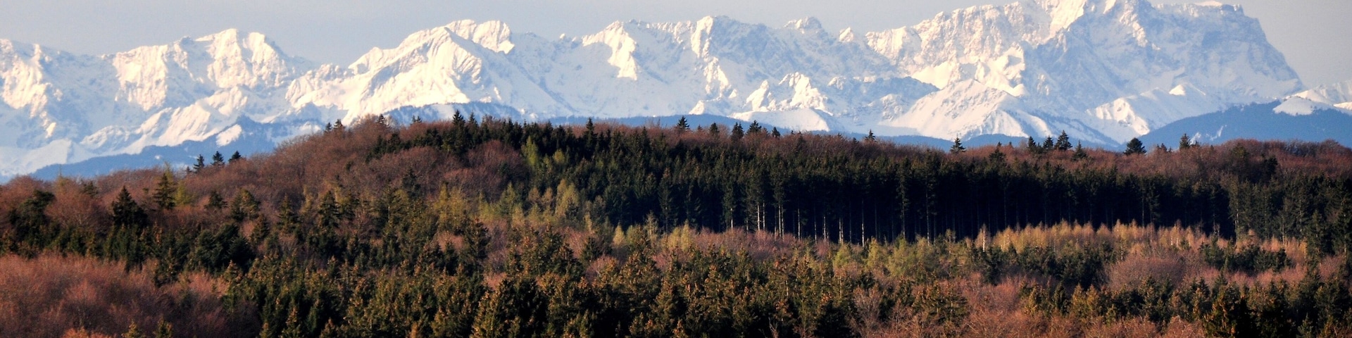 Un paisaje montañoso con picos nevados, una colina boscosa y un campo verde en primer plano.