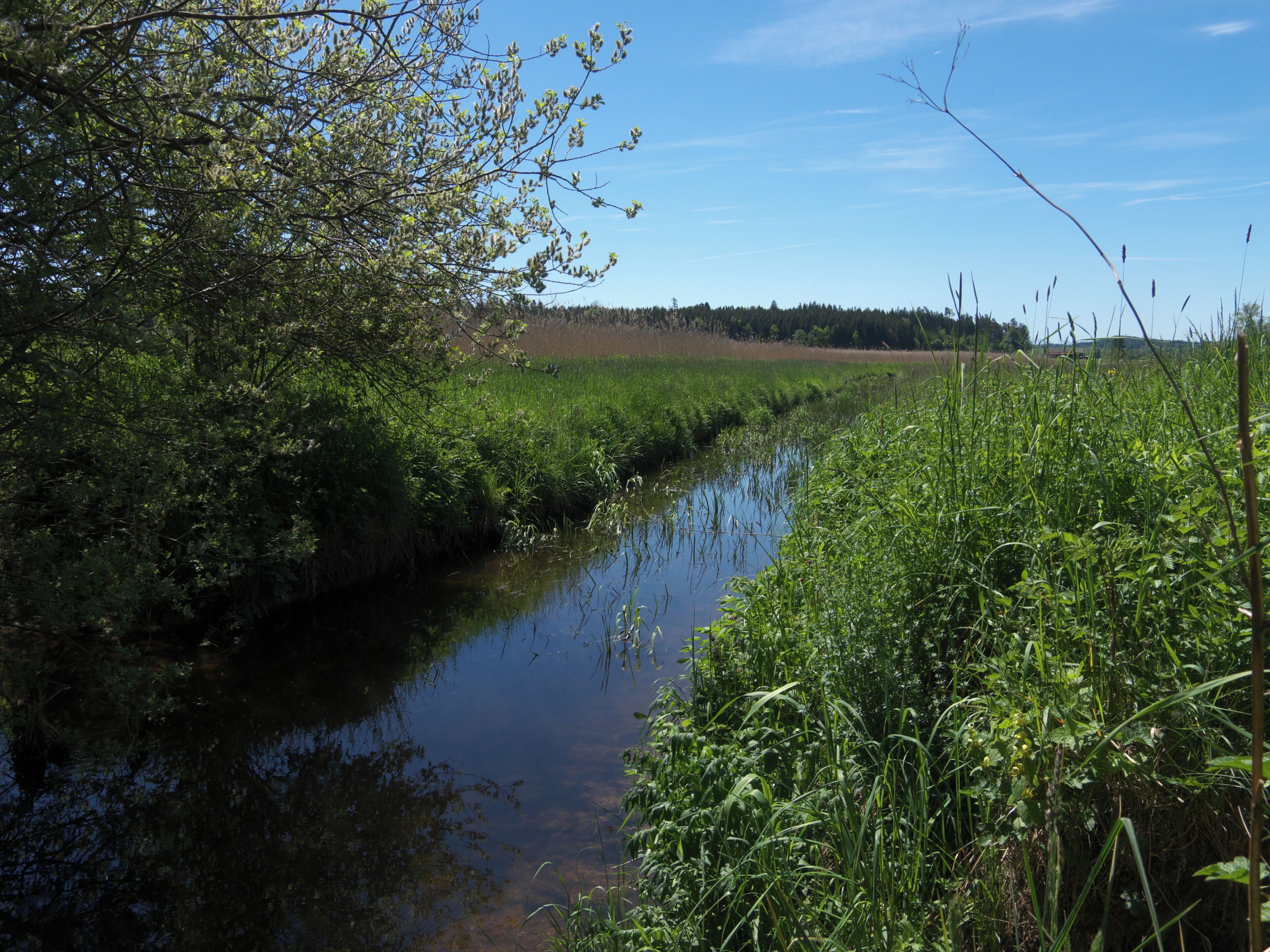 Fallbach im Naturschutzgebiet in Maising bei Starnberg.