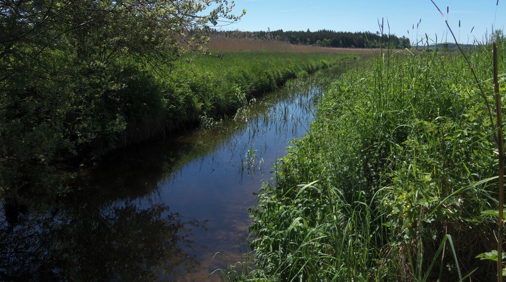 Fallbach im Naturschutzgebiet in Maising bei Starnberg.