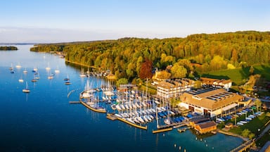 A marina with numerous sailboats docked, surrounded by lush greenery and a forested hillside.