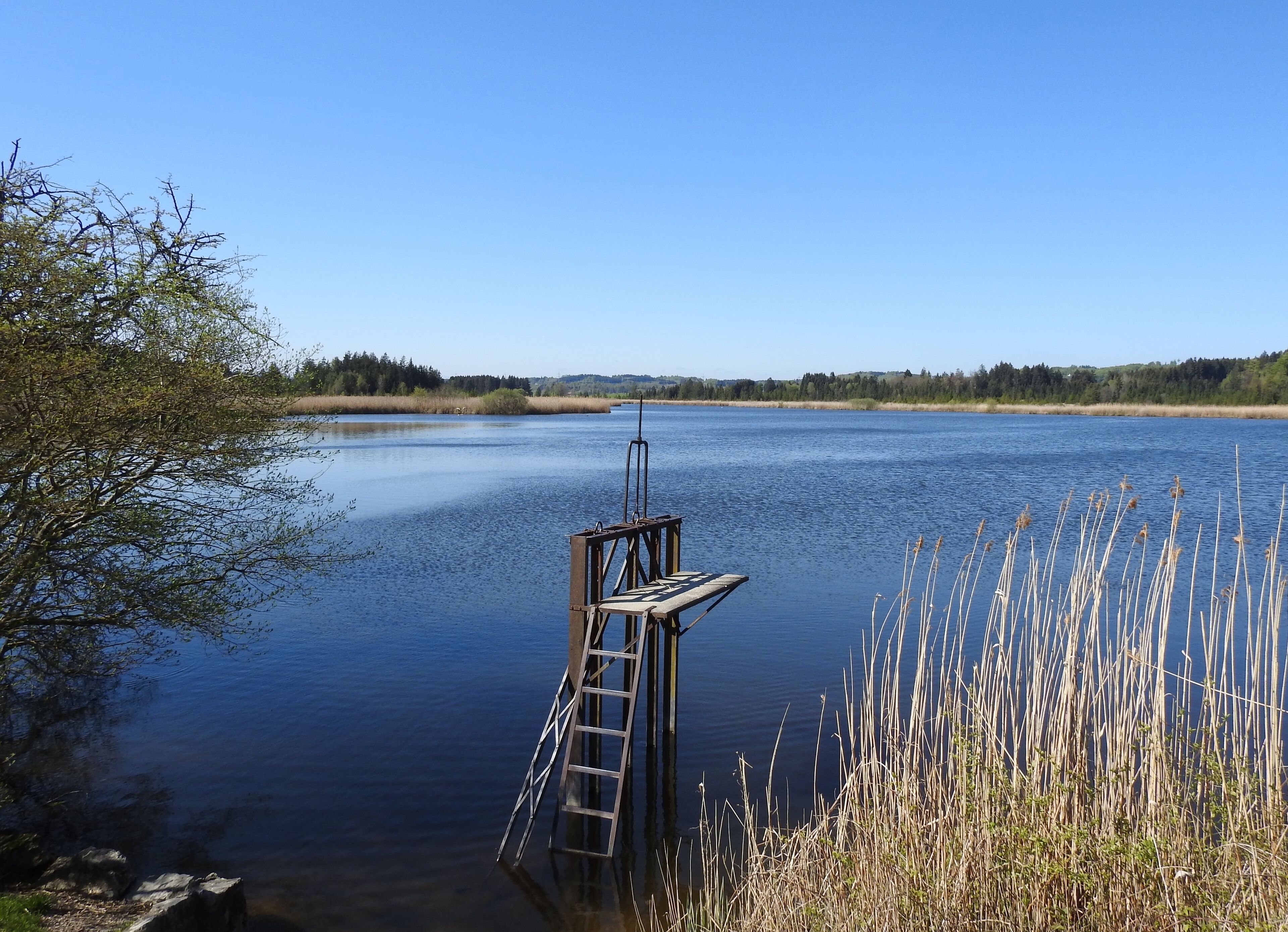 Pöcking, OT Maising, Naturschutzgebiet Maisinger See.