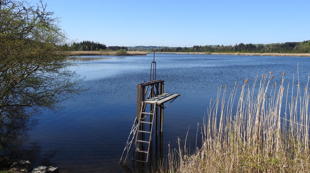 Pöcking, OT Maising, Naturschutzgebiet Maisinger See.