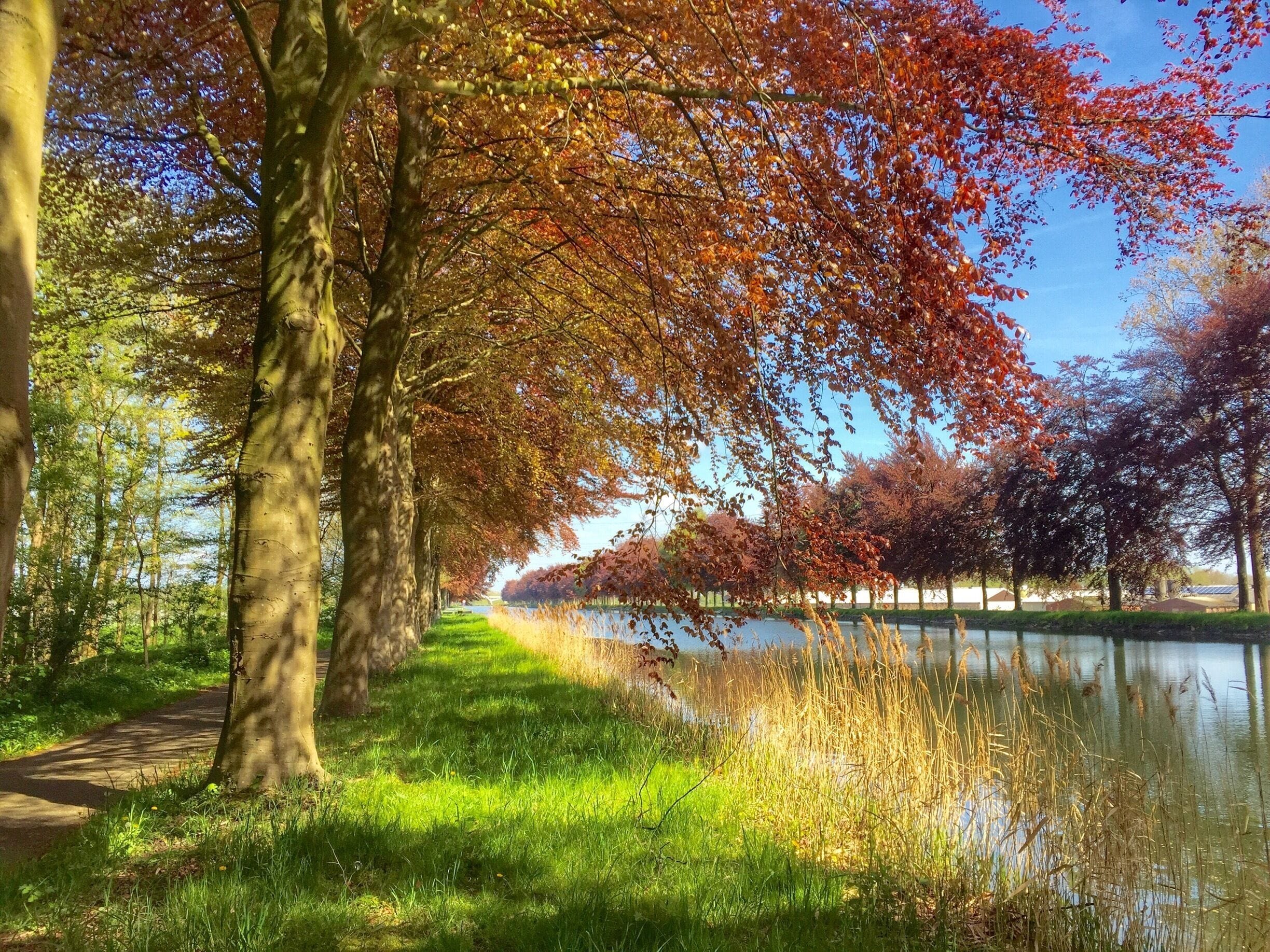 Cycling along a Belgian canal in Bree.