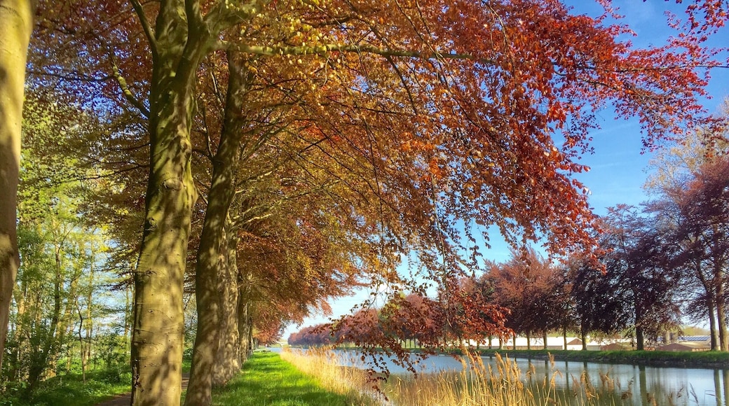 Cycling along a Belgian canal in Bree.