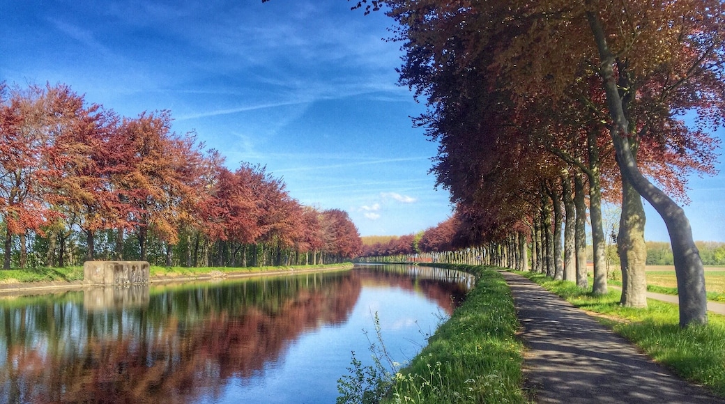 Cycle tour along Zuid-Willemsvaart near Bree in Belgium
