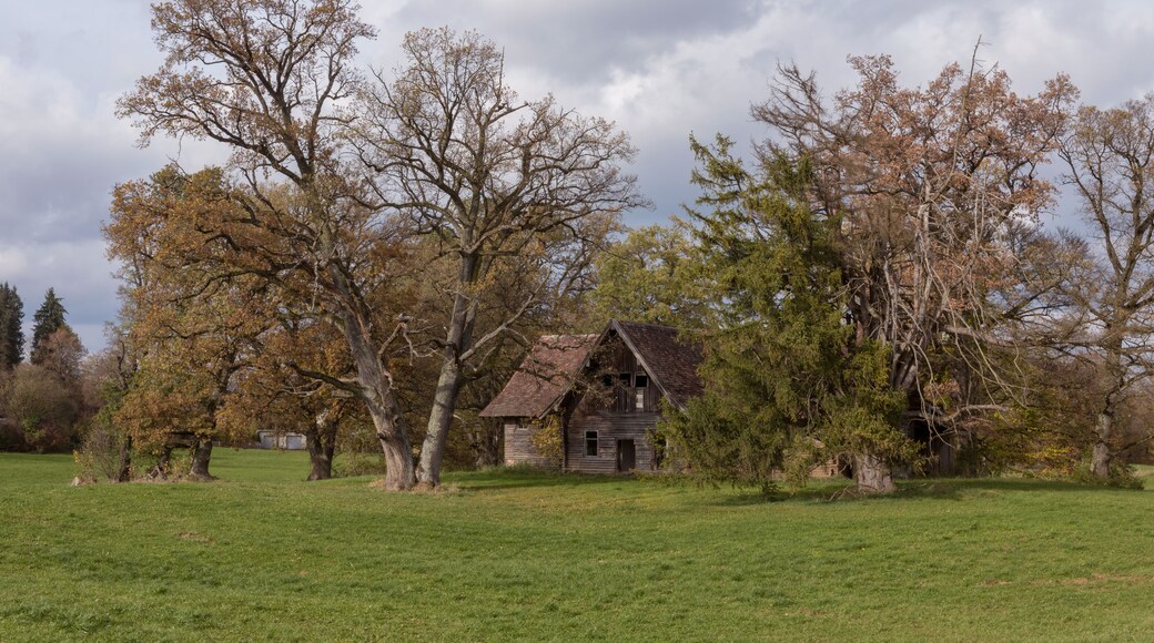 Bernried am Starnberger See
