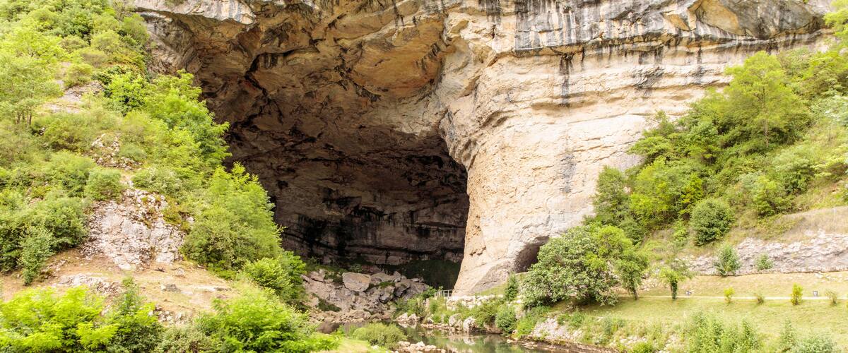 A canyon with a river flowing through it, surrounded by greenery.