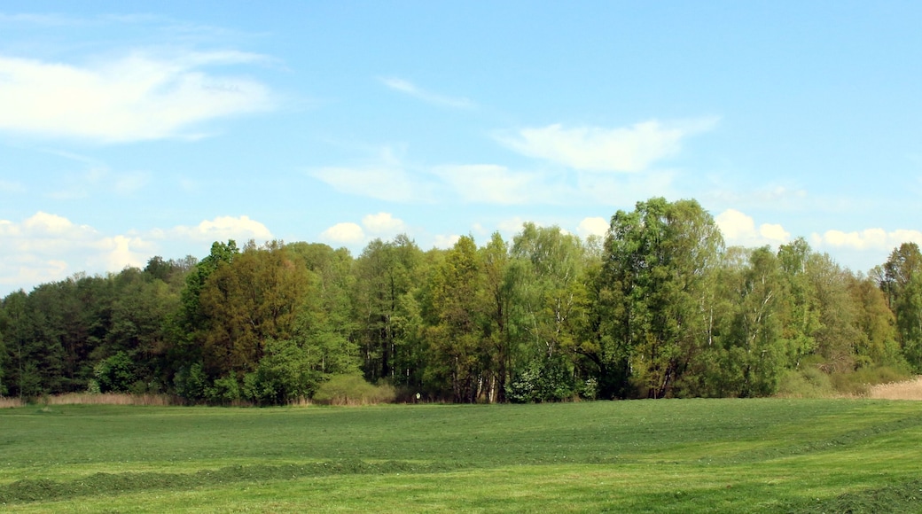 Die Frankenthaler Moorwiese war ein Flächennaturdenkmal auf der Flur der sächsischen Gemeinde Frankenthal und befindet sich im Landschaftsschutzgebiet Westlausitz. Sie ist heute Teil des FFH-Gebietes Obere Wesenitz und Nebenflüsse.