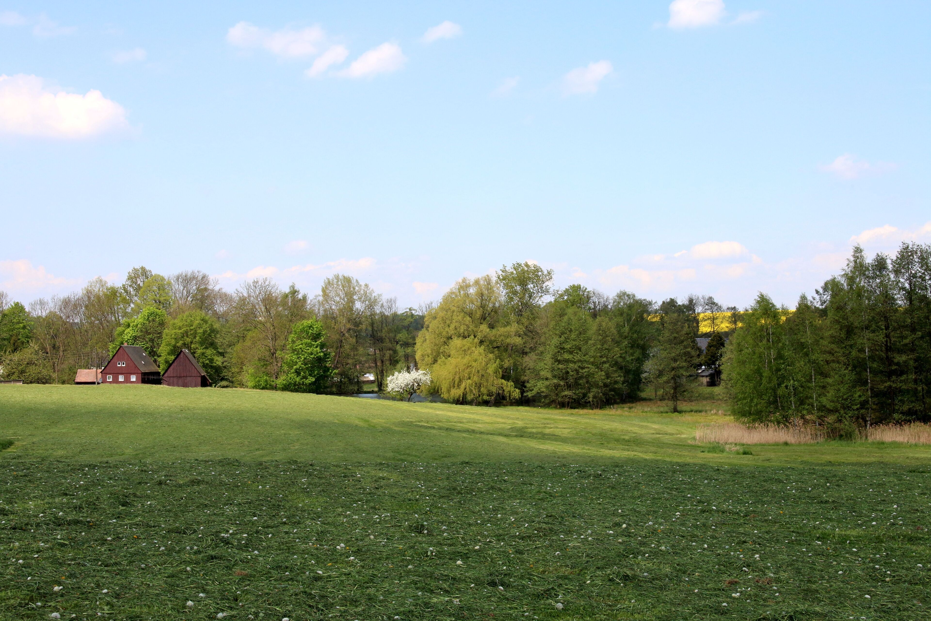 Die Frankenthaler Moorwiese war ein Flächennaturdenkmal auf der Flur der sächsischen Gemeinde Frankenthal und befindet sich im Landschaftsschutzgebiet Westlausitz. Sie ist heute Teil des FFH-Gebietes Obere Wesenitz und Nebenflüsse.