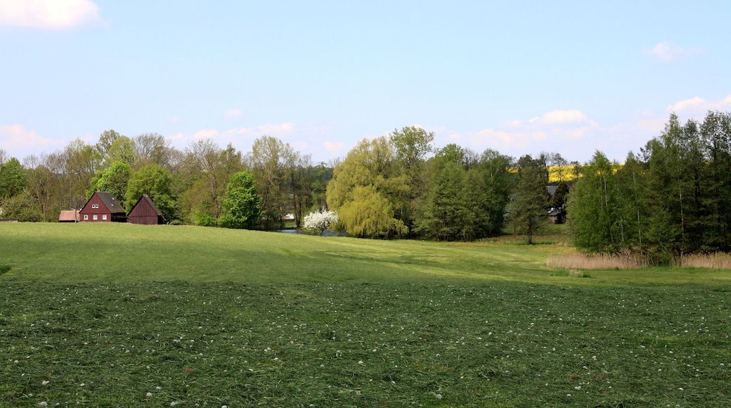 Die Frankenthaler Moorwiese war ein Flächennaturdenkmal auf der Flur der sächsischen Gemeinde Frankenthal und befindet sich im Landschaftsschutzgebiet Westlausitz. Sie ist heute Teil des FFH-Gebietes Obere Wesenitz und Nebenflüsse.