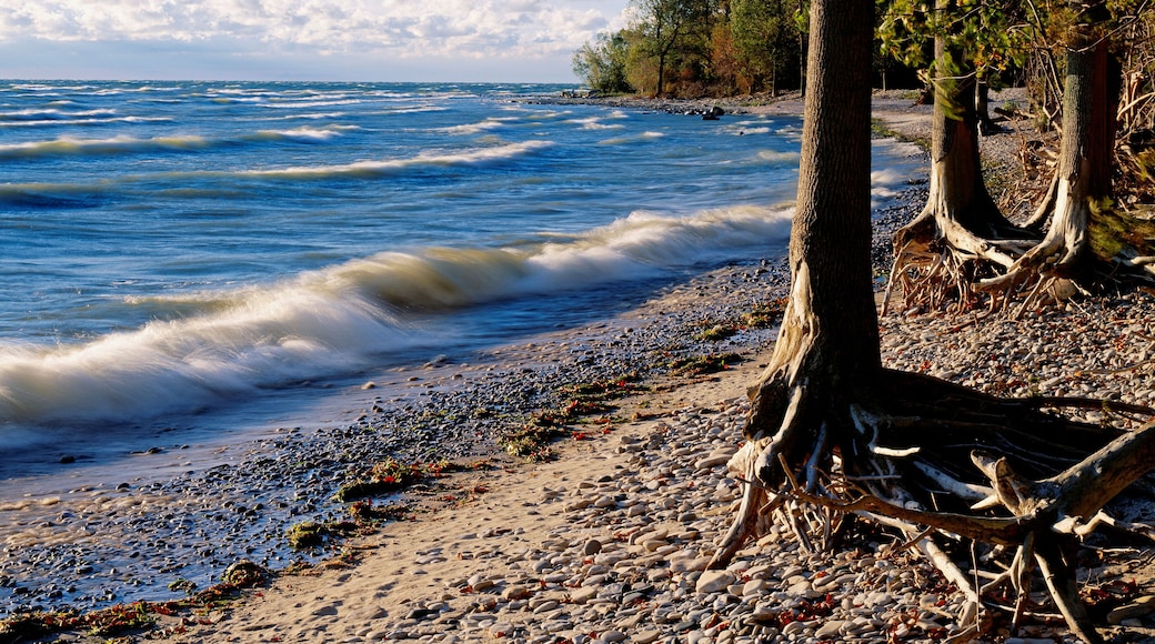D0ETGC Waves Wash Ashore on a Lake Erie Island