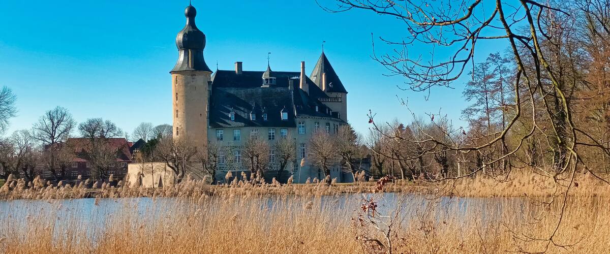 A historic castle with a prominent tower, surrounded by a moat and dry reeds.