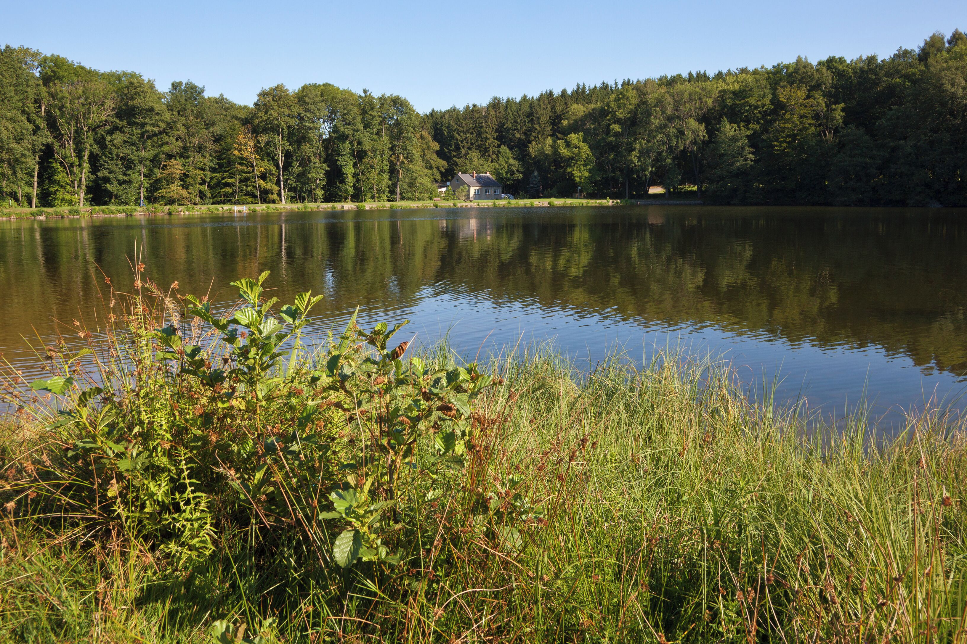 Langenau (Brand-Erbisdorf), Lake Unterer Pochwerkteich