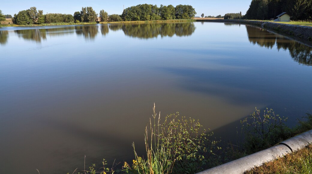 Rothbächer Teich (lake near Brand-Erbisdorf, Saxony)