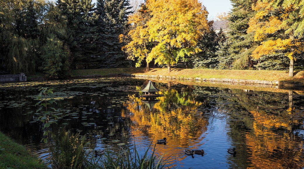 Brand-Erbisdorf, village pond