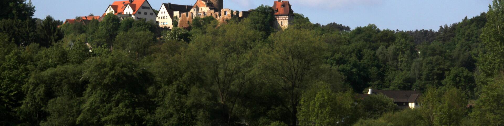Burg Thann (Burgthann)
