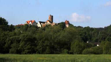 Burg Thann (Burgthann)