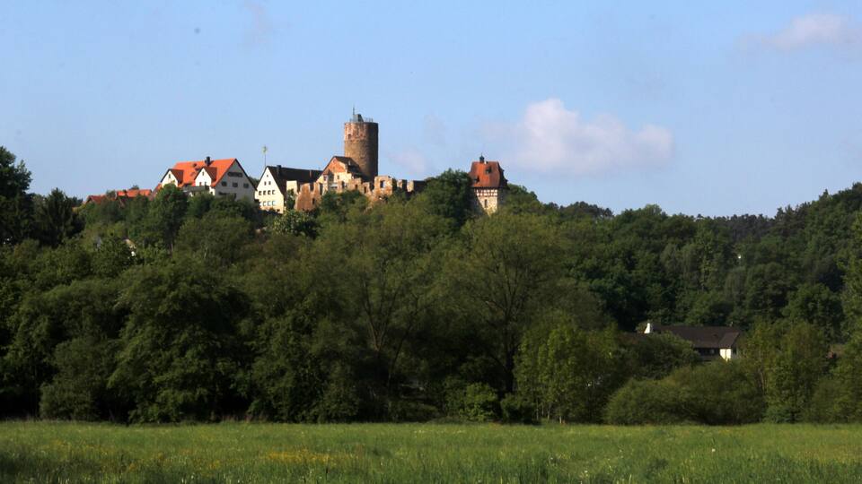 A castle on a hill with surrounding houses and a field in the foreground.