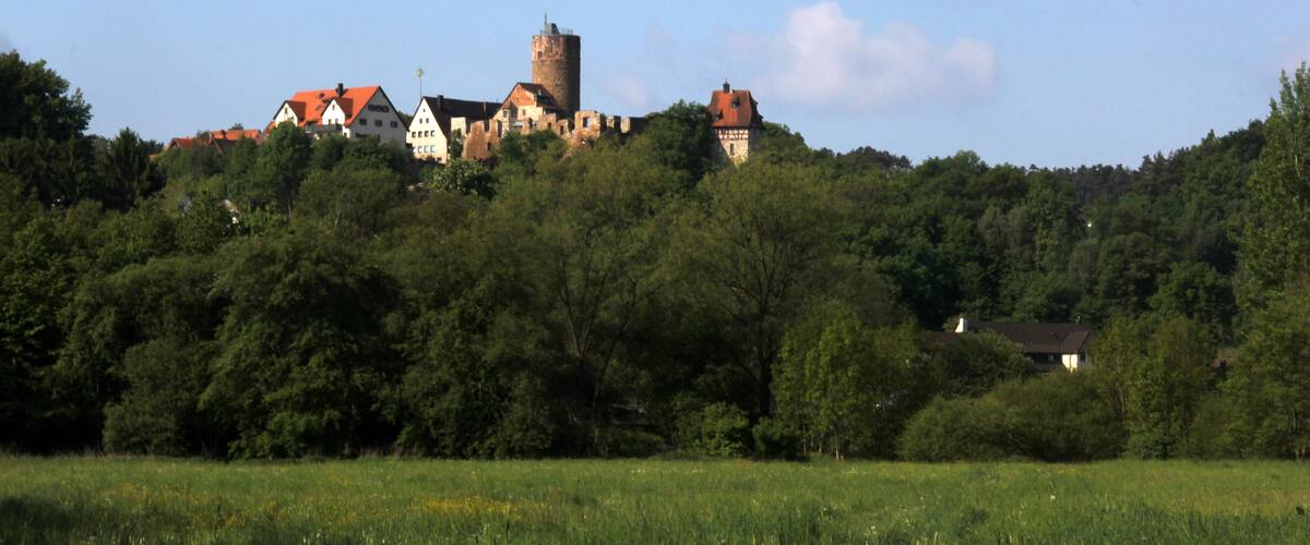 A castle on a hill with surrounding houses and a field in the foreground.