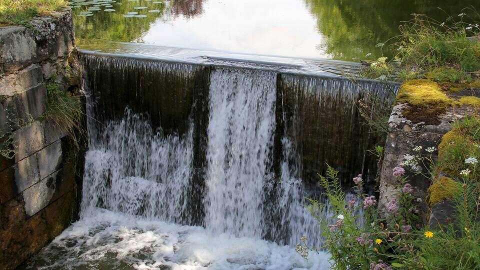 A waterfall cascading over a stone structure into a calm pond surrounded by greenery and wildflowers.