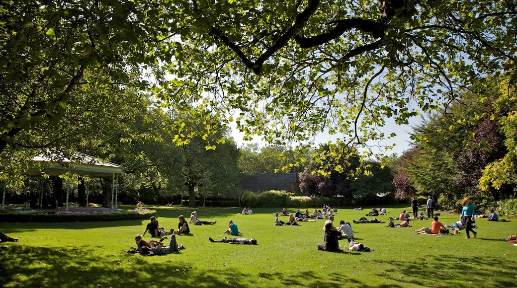 St. Stephen\'s Green featuring picnicking, a garden and landscape views