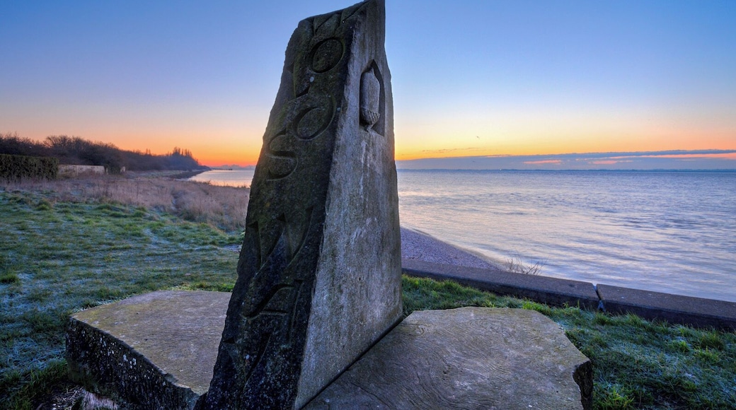 Hessle Foreshore IMG_9942