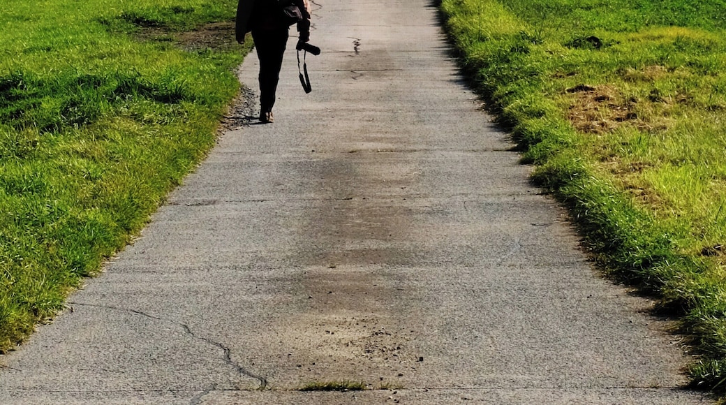 Not much to say about this guy, he seems to have a nice camera (Nikon), a backpack (full of filters), a tripod and of course a nice view over the beautiful landscape of Mittelhessen.
