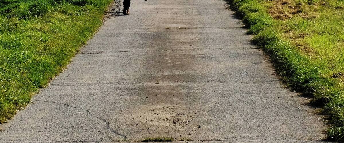 A person walking down a long, straight road in a rural area with green fields on both sides.