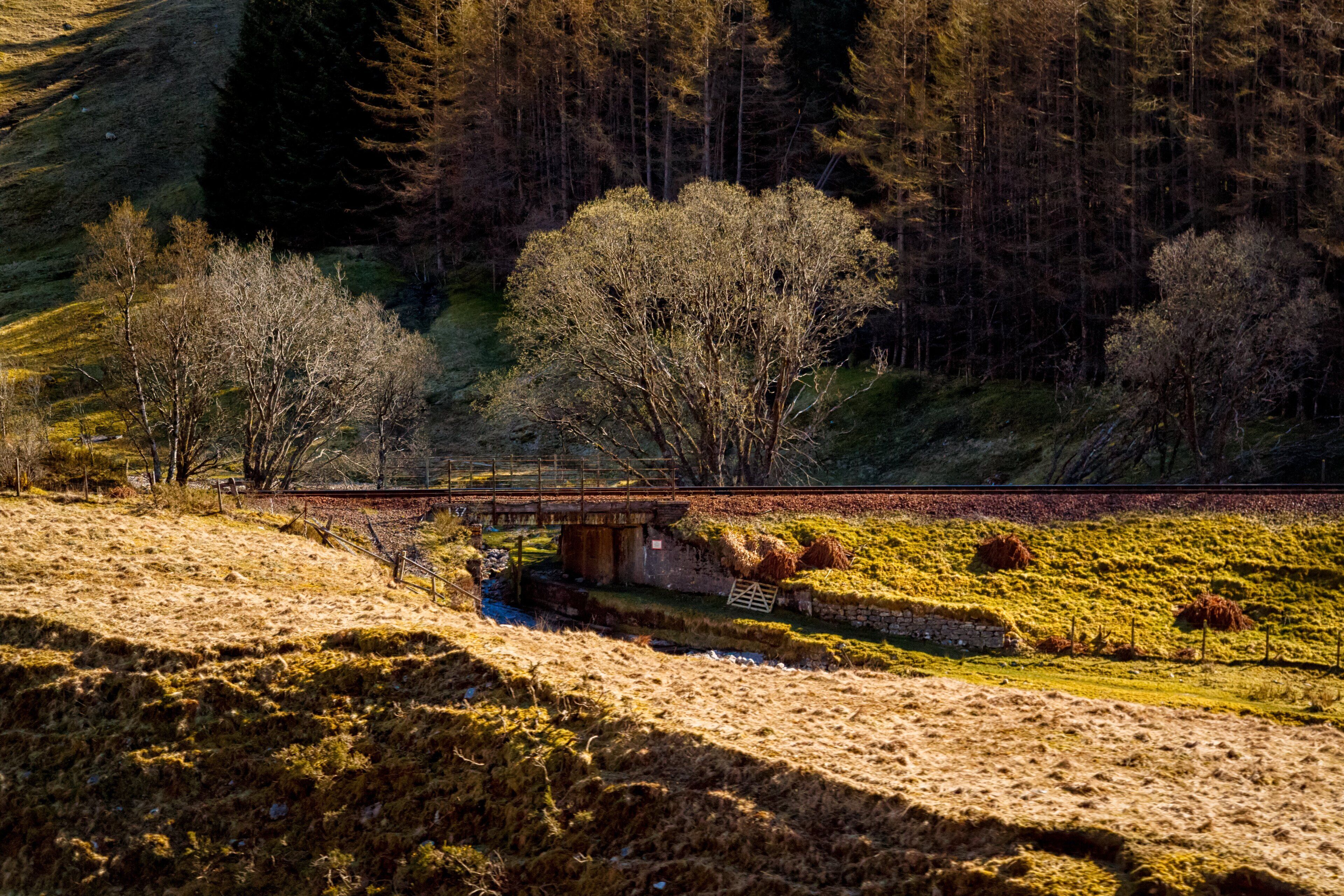 0_5ea4aef6-2a96-47db-80c7-743073366fbc_raw